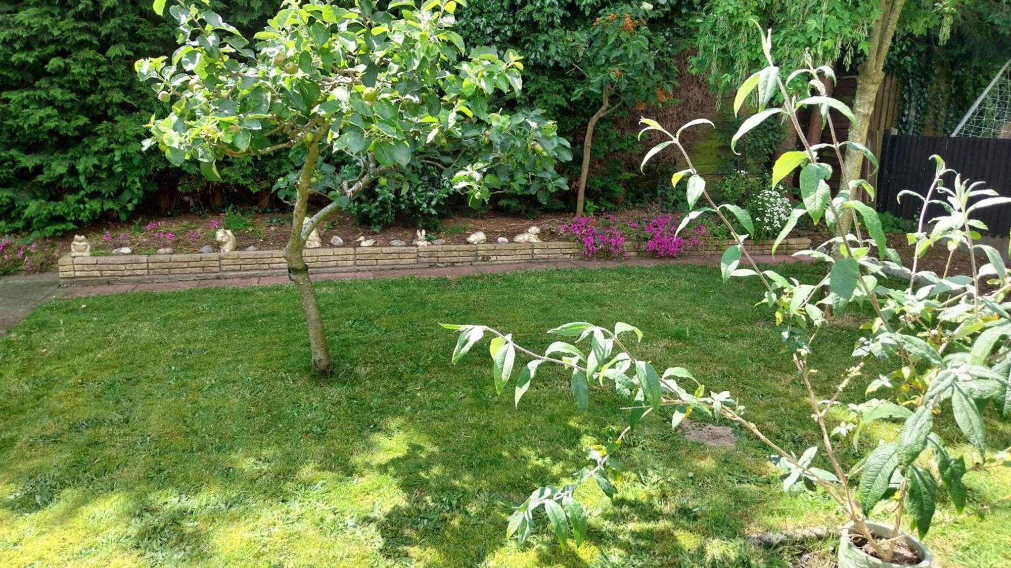 Beautiful 3-Bed Bungalow Kessingland Rural Retreat Lowestoft Exterior photo