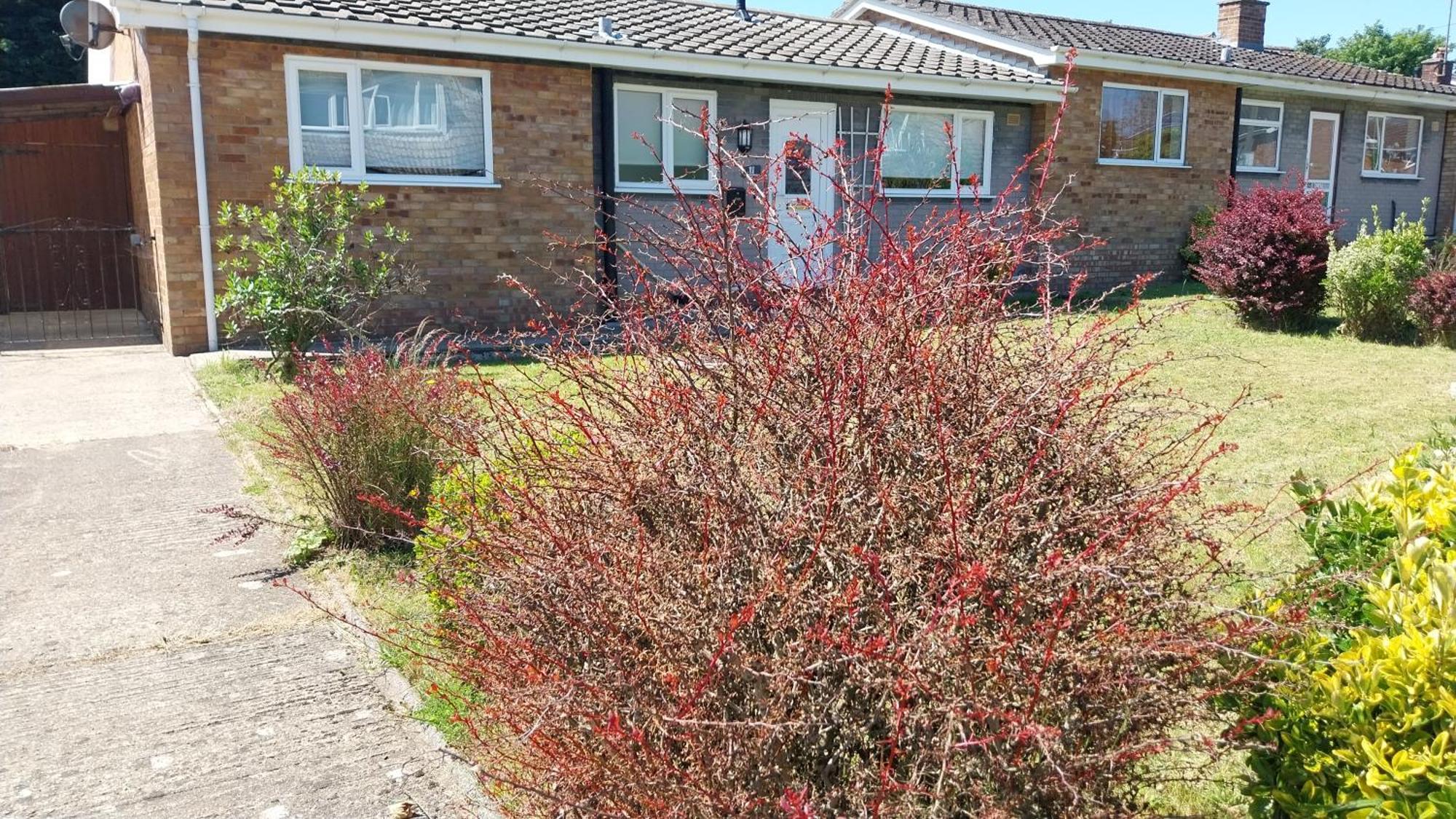 Beautiful 3-Bed Bungalow Kessingland Rural Retreat Lowestoft Exterior photo